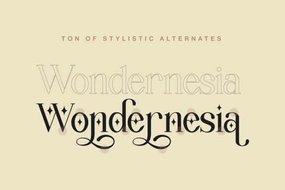 Wondernesia Nostalgic & Modern Serif