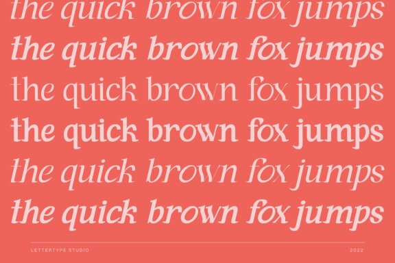 Andaman an Experimental Serif Font