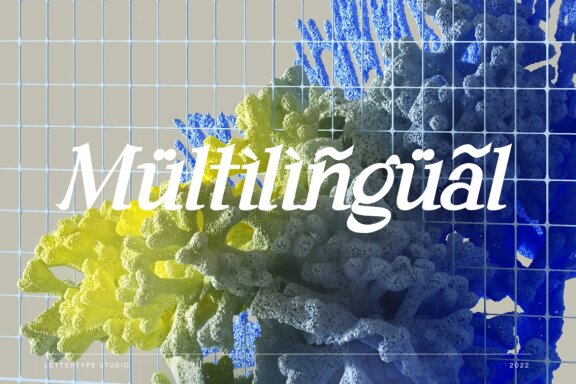 Andaman an Experimental Serif Font