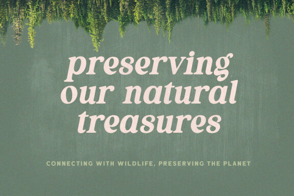 Thrive Wood - Organic Serif
