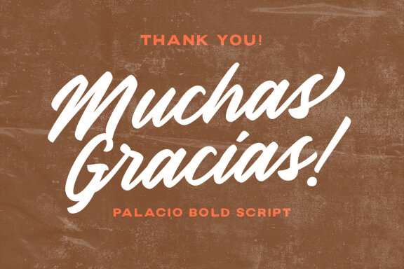 Palacio - Bold Script