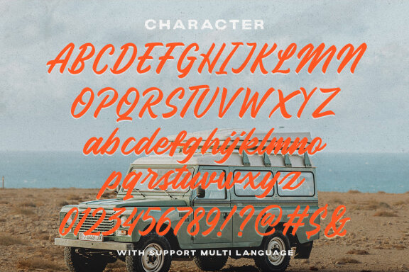 Palacio - Bold Script