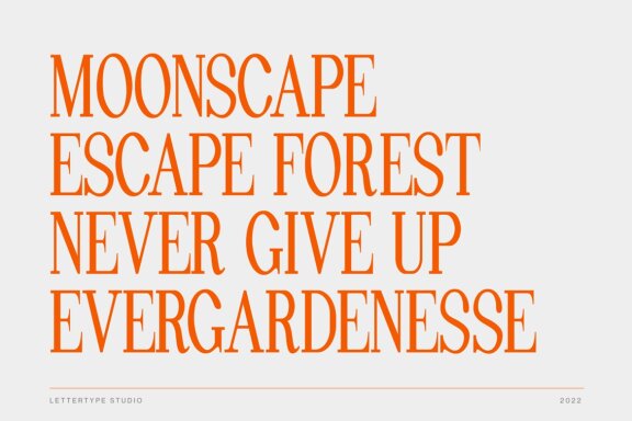 Pheromone | Modern Classic Serif 