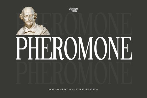 Pheromone | Modern Classic Serif 