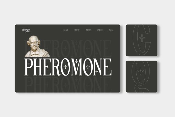 Pheromone Ultimate | Modern Classic Serif