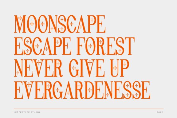 Pheromone Ultimate | Modern Classic Serif