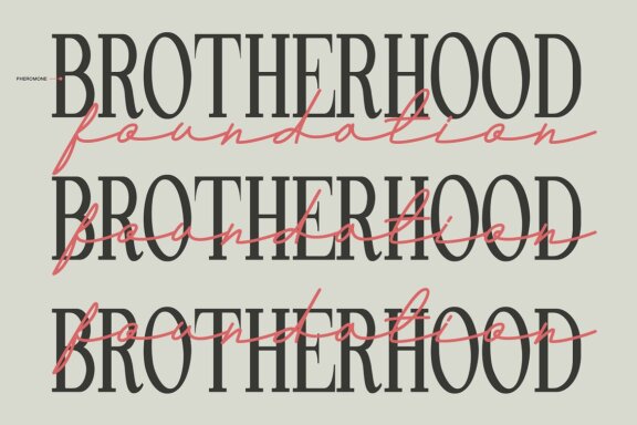 Andalusia a Beautiful Script Font