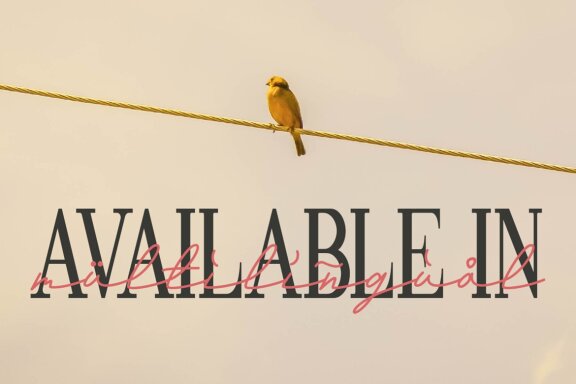 Andalusia a Beautiful Script Font