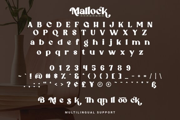 Mallock - Sans Display Font