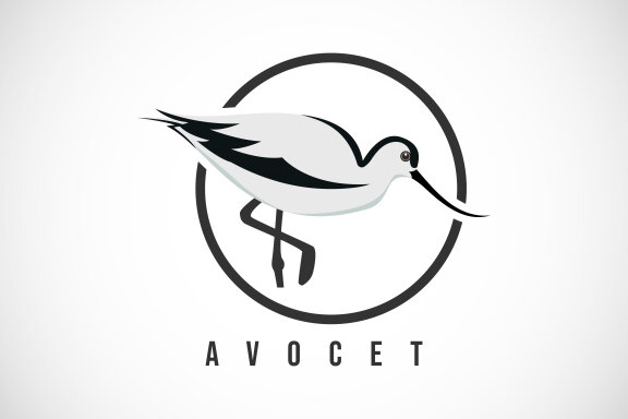 Avocet bird in a circle.