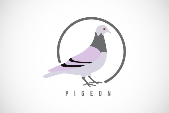Pigeon in a circle. 