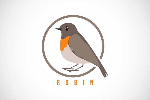 Robin bird in a circle. 
