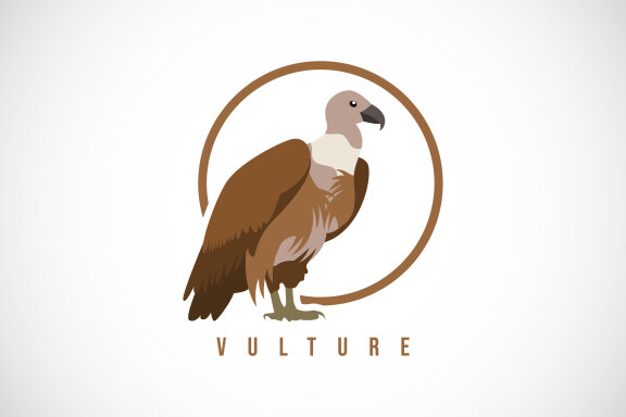 Vulture bird in a circle. 