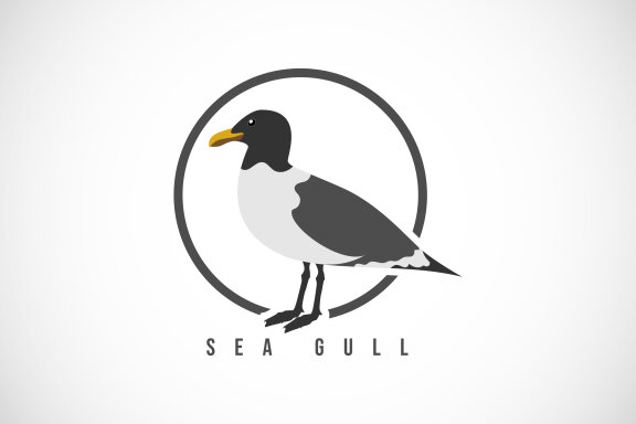 Sea Gull in a circle.
