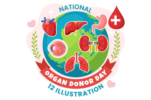 12 National Organ Donor Day Illustration