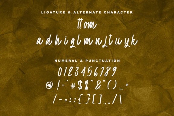 Afla Fagom Script Font
