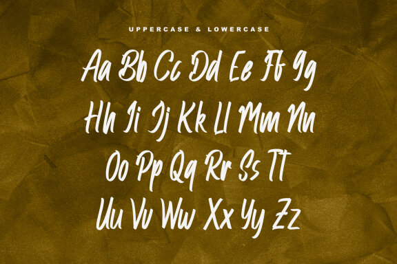 Afla Fagom Script Font