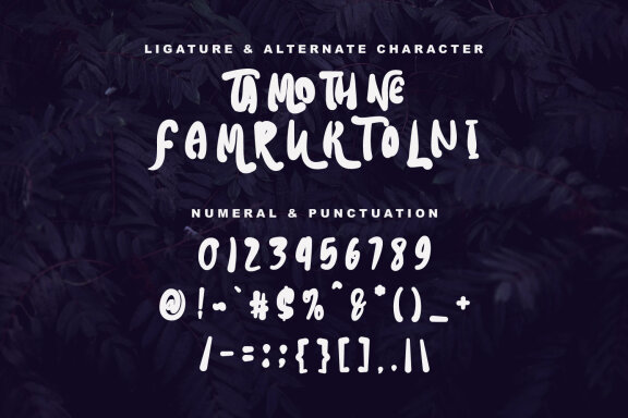 Tamoth Utamo Handwritten Display Font