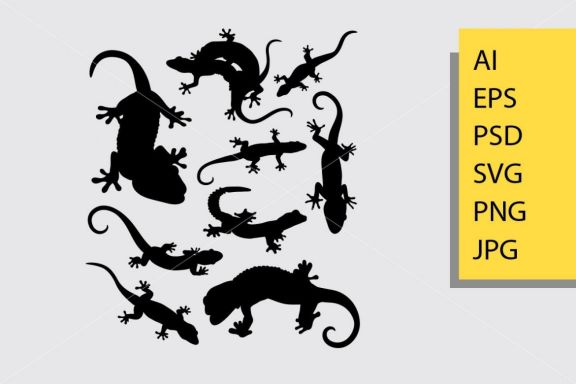 Lizard and gecko silhouette