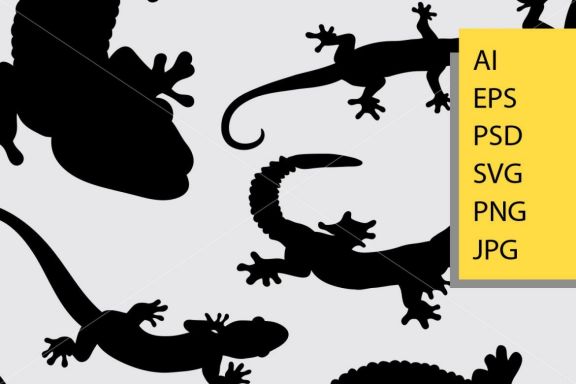 Lizard and gecko silhouette