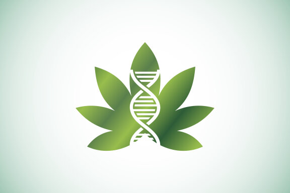 Cannabis DNA Logo