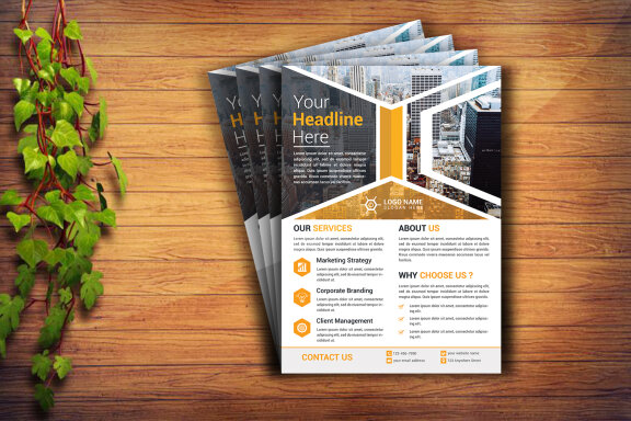 Professional Flyer Design Template