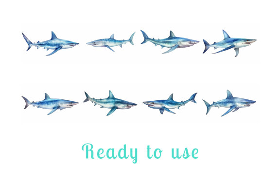 shark sea animal watercolor illustration collection vol. 4
