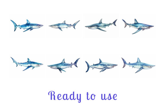 shark sea animal watercolor illustration collection vol. 6