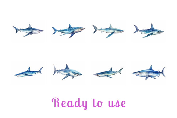 shark sea animal watercolor illustration collection vol. 7