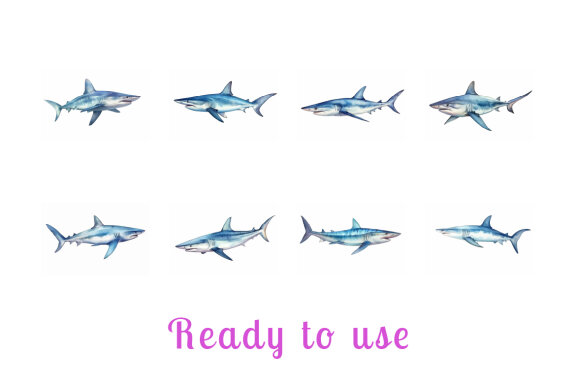 shark sea animal watercolor illustration collection vol. 8