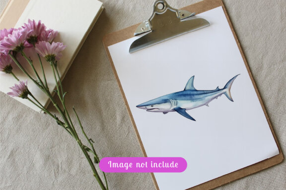 shark sea animal watercolor illustration collection vol. 8