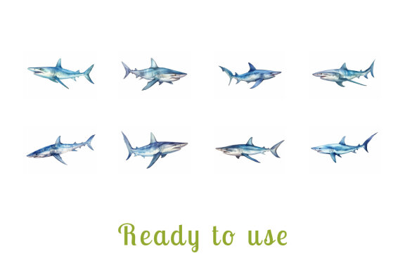 shark sea animal watercolor illustration collection vol. 11