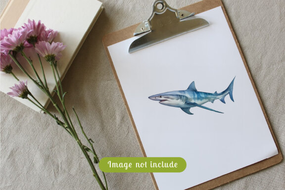 shark sea animal watercolor illustration collection vol. 11
