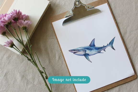 shark sea animal watercolor illustration collection vol. 12