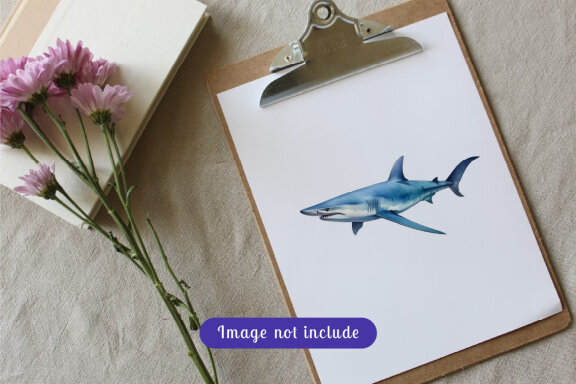 shark sea animal watercolor illustration collection vol. 13