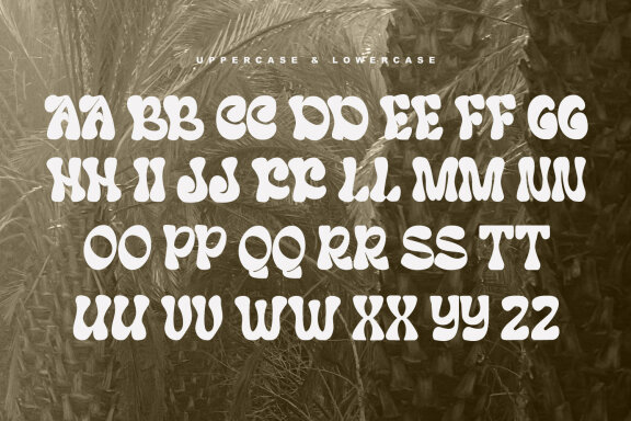 Coding Cincoy Display Font