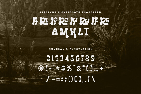Coding Cincoy Display Font