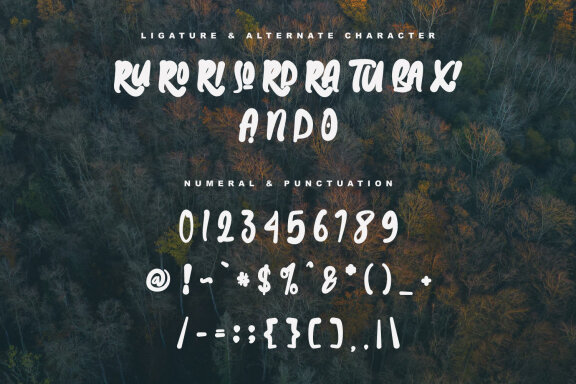 Baxia Jord Modern Display Font