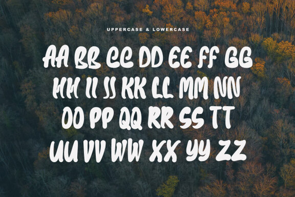 Baxia Jord Modern Display Font