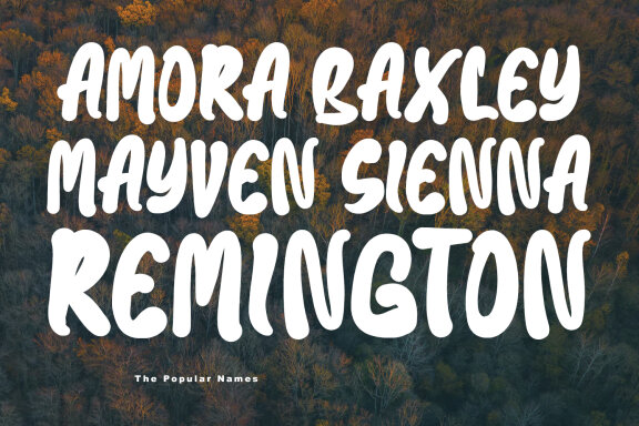 Baxia Jord Modern Display Font