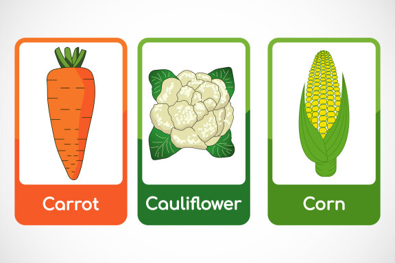 Vegetable flashcards