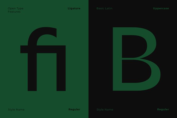 Botham Grotesque - Sans Serif Font Family