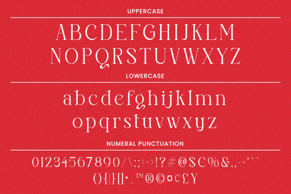 Perfect Christmas - Elegant Serif Font