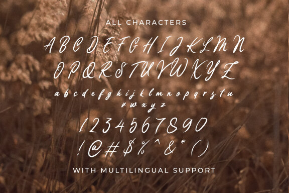 Timberland - Organic Script
