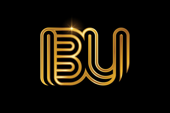 B and U combination Lines Letter Logo