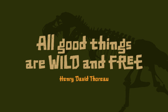 Tropica Jungles - Display Font