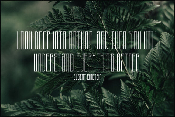 NoiseStorm Condnesed Font