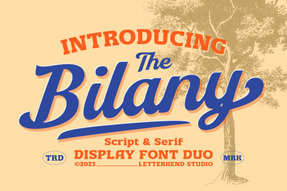 The Bilany - Display Font Duo