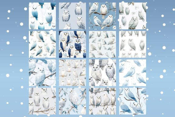 Pattern Of Snowy Owls