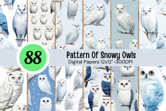 Pattern Of Snowy Owls